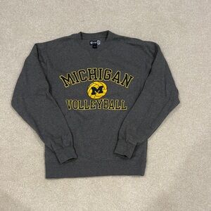 Gray Michigan Volleyball Crewneck